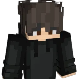 N317 Minecraft avatar bust