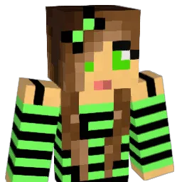 N3RDMASTER's Minecraft skin