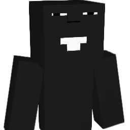 N3growo Minecraft avatar bust