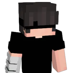 N3xZin Minecraft avatar bust