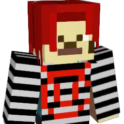 N4PK1NS Minecraft avatar bust