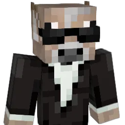N4STYY_ Minecraft avatar bust
