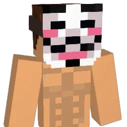 N4if_B Minecraft avatar bust