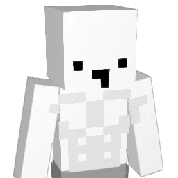 N4m3__ Minecraft avatar bust