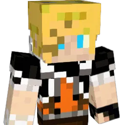 N4t_26 Minecraft avatar bust