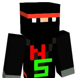 N5G Minecraft avatar bust