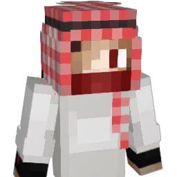 N7R911 Minecraft avatar bust
