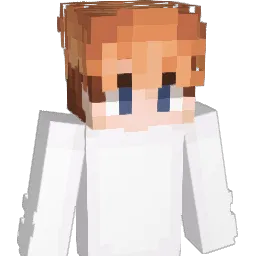 N8THN_ Minecraft avatar bust