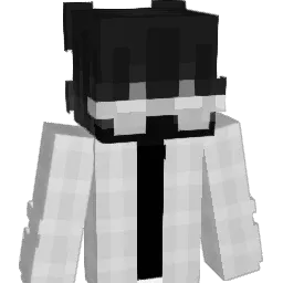 NAD1208 Minecraft avatar bust