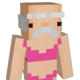 NAGUF Minecraft avatar bust