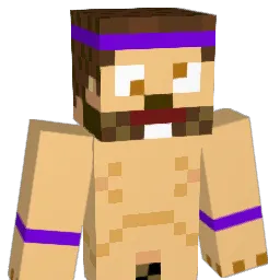 NAHXN1GGS Minecraft avatar bust