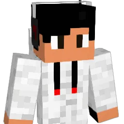 NAVI214 Minecraft avatar bust