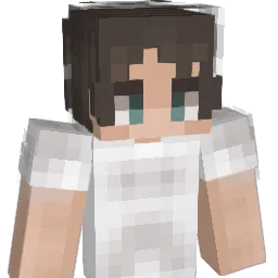 NAVYHAWKS Minecraft avatar bust