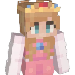 NA_sodium_ Minecraft avatar bust
