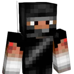 NBM2001 Minecraft avatar bust