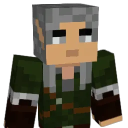 NBlaze2020 Minecraft avatar bust