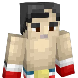 NCL Minecraft avatar bust