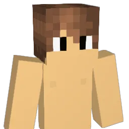 NDG_McB Minecraft avatar bust