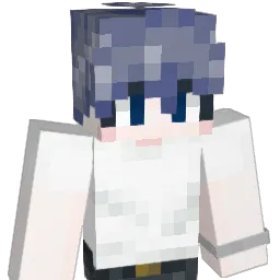 NDolPhin1 Minecraft avatar bust