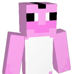 NDxSnow1 Minecraft avatar bust
