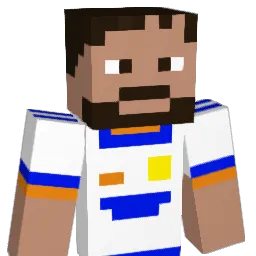 NEAFL Minecraft avatar bust