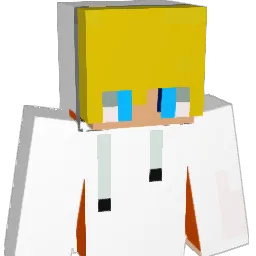 NELSON66 Minecraft avatar bust