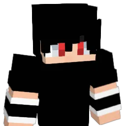 NENELZINHO2012 Minecraft avatar bust
