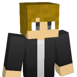 NEO_1410 Minecraft avatar bust