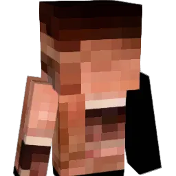 NEO_Todd_Howard Minecraft avatar bust