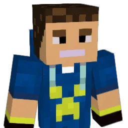 NET_PL Minecraft avatar bust