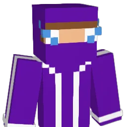NEVER_MIND_100 Minecraft avatar bust