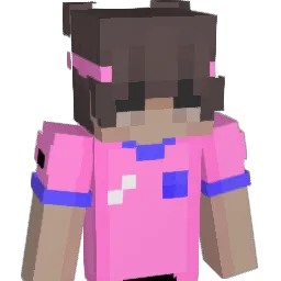 NEWYRNEWMETREY Minecraft avatar bust