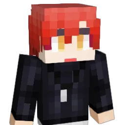 NEW_SUNNY Minecraft avatar bust