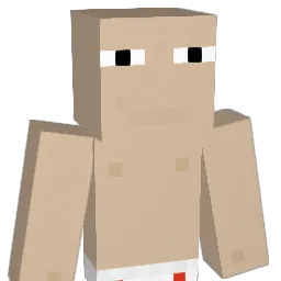 NEXO1807 Minecraft avatar bust