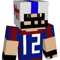 NFLFAN7667