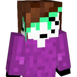 NIBV9 Minecraft avatar bust