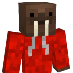 NICOLAPAZ_99 Minecraft avatar bust
