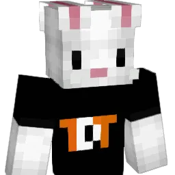 NIJNIEcross5 Minecraft avatar bust