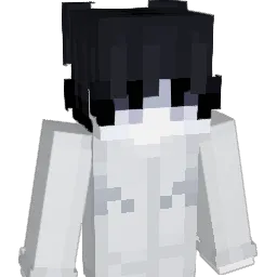 NING45 Minecraft avatar bust