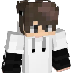 NINImagDICH Minecraft avatar bust
