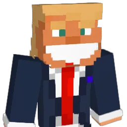 NISSW Minecraft avatar bust