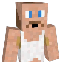 NIT3N Minecraft avatar bust