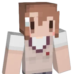 NIXOL29 Minecraft avatar bust
