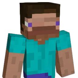 NJSDLZX Minecraft avatar bust