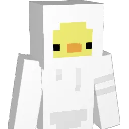 NKS187 Minecraft avatar bust