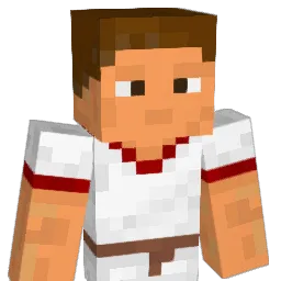 NKaloms Minecraft avatar bust