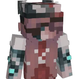 NL_Playz