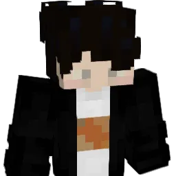 NL_Sekito Minecraft avatar bust