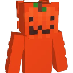 NN5N Minecraft avatar bust