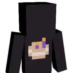 NNTR1XFN Minecraft avatar bust